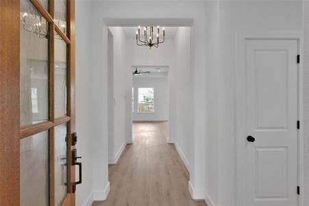 Stained-wood entry door