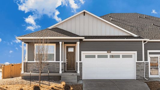 New construction Single-Family house 1450 Riverdale Dr, Windsor, CO 80550 plan Summit - image