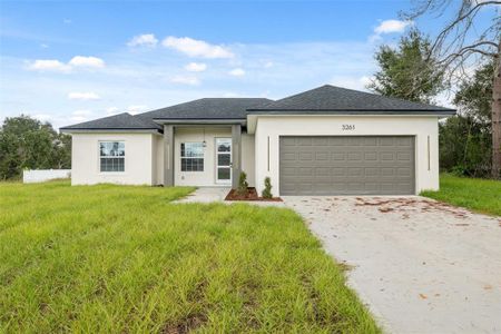New construction Single-Family house 3261 Sw 129Th Lp, Ocala, FL 34473 - image