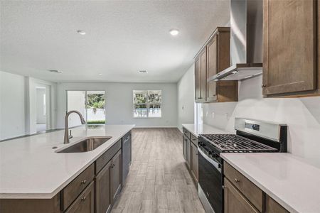 New construction Single-Family house 19679 Fort King Run, Brooksville, FL 34601 - image 7