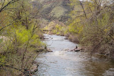 New construction Single-Family house 14484 Anvil Cir, Golden, CO 80403 - image 10