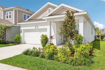 New construction Single-Family house 5920 Hidden Branch Dr, Apollo Beach, FL 33572 plan The Nightingale - image