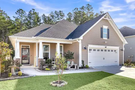 New construction Single-Family house 562 Dunswell Dr, Summerville, SC 29486 - image