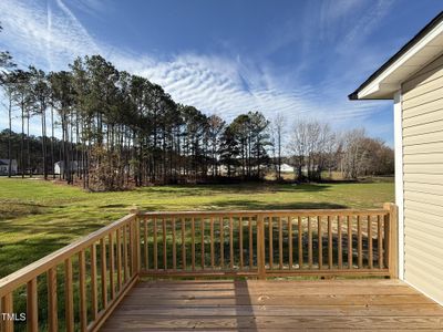 New construction Single-Family house 49 Hydrangea Lane, Benson, NC 27504 - photo 14 14