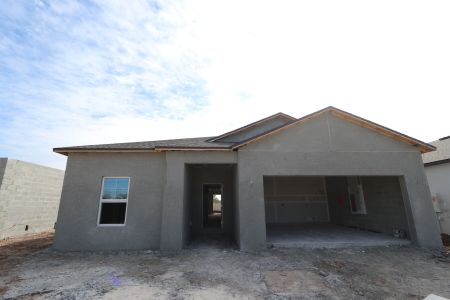 New construction Single-Family house 3150 Adams Cross Dr, Zephyrhills, FL 33540 Miranda- photo 56 56