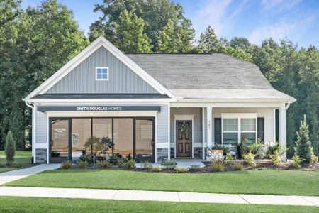 New construction Single-Family house 107 Cumberland Drive, Sanford, NC 27330 The Telfair- photo 0