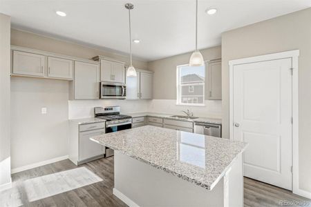 New construction Single-Family house 18029 Dandy Brush Ln, Parker, CO 80134 ELDER II- photo 11 11