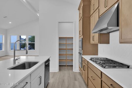 New construction Single-Family house 166 Blue Hampton Dr, Nocatee, FL 32081 plan Silver - image 13