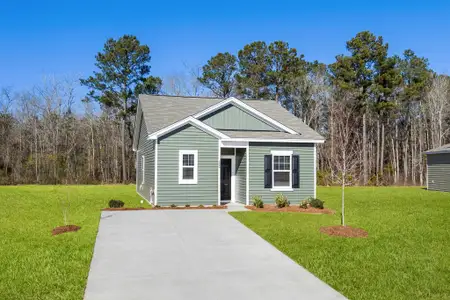 New construction Single-Family house 450 Castillo Dr, Loris, SC 29569 plan Alps - image