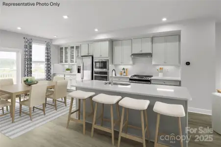 New construction Townhouse house 1068 Bracken Hill Rd, Unit 3018B, Indian Trail, NC 28079 - image