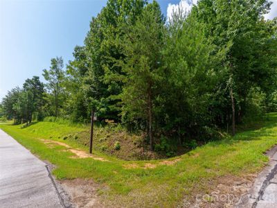 New construction Single-Family house 142 Elkton Ct, Mill Spring, NC 28756 - image 14