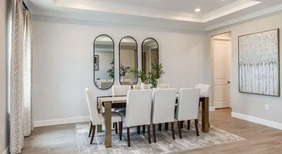 New construction Single-Family house 11236 Kingly Ln, Odessa, FL 33556 Abaco- photo 20 20