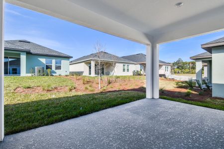 New construction Single-Family house 5938 Bristle Oak St, Mount Dora, FL 32757 The Sanborn- photo 3 3