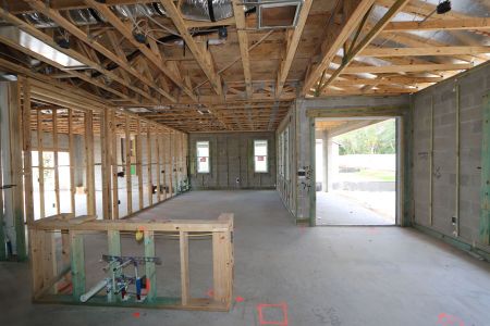 New construction Single-Family house 11984 Hilltop Farms Dr, Dade City, FL 33525 Casanova- photo 34 34