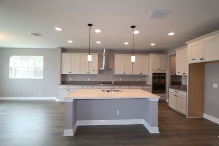 New construction Single-Family house 1906 Drummond Pt, Zephyrhills, FL 33541 Corina  III Bonus- photo 114 114