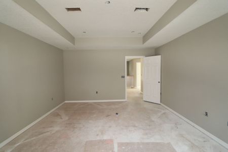 New construction Single-Family house 12008 Hilltop Farms Dr, Dade City, FL 33525 Alenza- photo 93 93