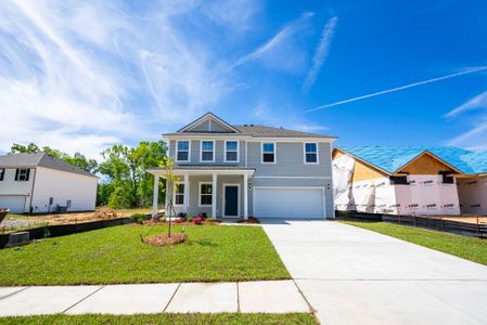 New construction Single-Family house 180 Monroe Preserve Ln, Chapin, SC 29036 plan Hampton - image