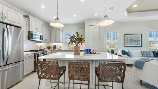New construction Multi-Family house 10025 Hammock Brook Dr, Parrish, FL 34219 plan Crystal Sand 2 - image 9