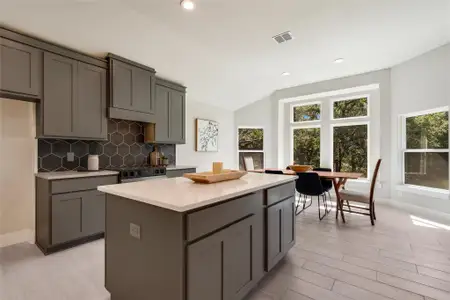 New construction Single-Family house 6 Sonata Cir, Wimberley, TX 78676 - image 4