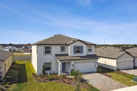 New construction Single-Family house 12219 Hilltop Farms Dr, Dade City, FL 33525 Malibu- photo 262 262