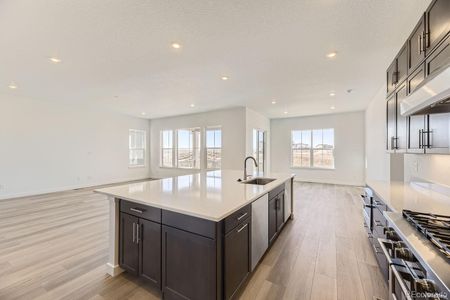 New construction Single-Family house 3832 Treadway Pt, Castle Rock, CO 80108 Trevino- photo 6 6