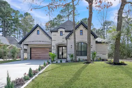 New construction Single-Family house 135 Wick Willow Rd, Montgomery, TX 77356 - image