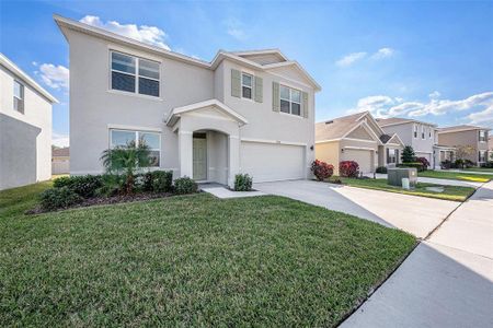 New construction Single-Family house 33548 Elm Hill Br, Wesley Chapel, FL 33545 - image