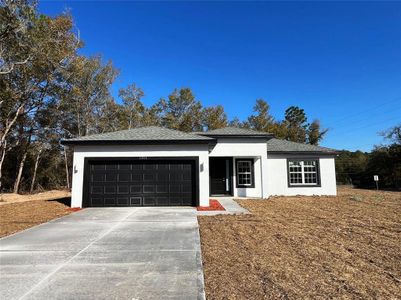 New construction Single-Family house 11054 N Academy Dr, Dunnellon, FL 34434 - image