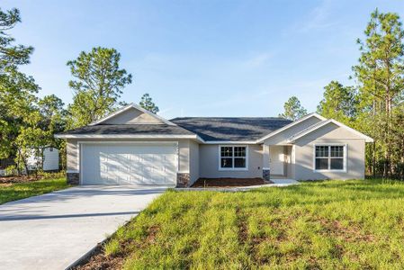 New construction Single-Family house 8458 N Tempest Dv, Citrus Springs, FL 34434 - image