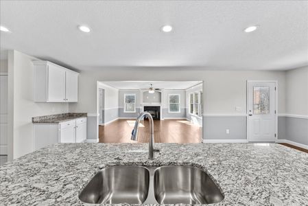 New construction Single-Family house 365 Mill Gin Rd, Campobello, SC 29322 plan Emilia - image 13