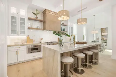 New construction Single-Family house 369 Avila Rd, West Palm Beach, FL 33405 - image