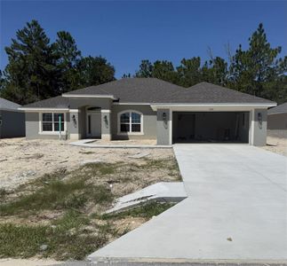 New construction Single-Family house Citrus Springs, FL 34434 - image