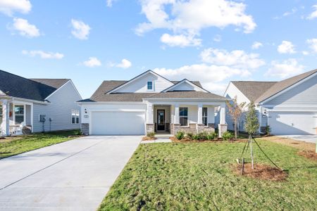 New construction Single-Family house 386 Wiry Green Leaf Ln, Bluffton, SC 29909 plan Palmary - image
