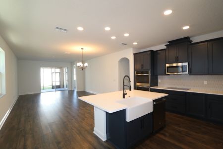 New construction Single-Family house 33227 Amling Pecan Br, Wesley Chapel, FL 33545 Newport II- photo 115 115