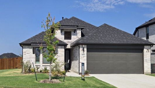 New construction Single-Family house 293 Hope Orchards Dr, Lavon, TX 75166 plan Diamond | Elevon - image