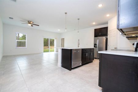 New construction Single-Family house 17406 Sw 38Th Avenue Rd, Ocala, FL 34473 null- photo 7 7