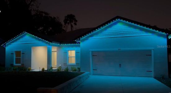 New construction Single-Family house 377 Palm Dr, New Smyrna Beach, FL 32168 - image