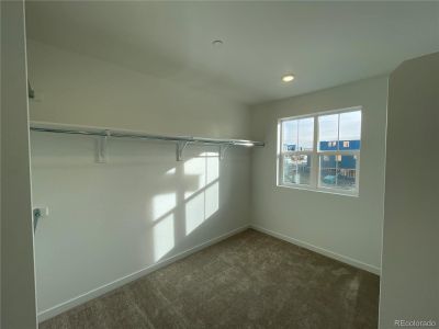 New construction Duplex house 1373 Sunrise Dr, Erie, CO 80516 Plateau- photo 5 5