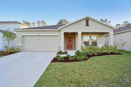 New construction Single-Family house 33916 Sky Blossom Circle, Leesburg, FL 34788 - photo 0