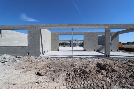 New construction Single-Family house 5867 Riverston Ave, Wesley Chapel, FL 33545 Corina  III Bonus- photo 10 10