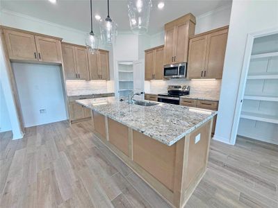 New construction Single-Family house 403 Magnolia Dr, Troy, TX 76579 plan Palms - image 8