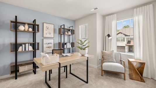 Honey Farms: Parkside Collection 11