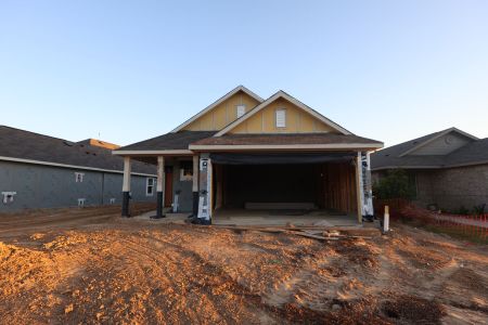 New construction Single-Family house 22552 Serviceberry Branch Ct, New Caney, TX 77357 plan Aster - image
