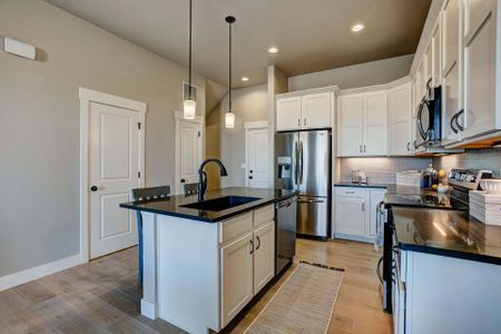 New construction Townhouse house 3425 Triano Creek Dr, Unit 101, Loveland, CO 80538 null- photo 196 196