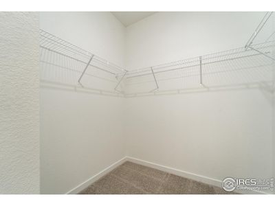 New construction Single-Family house 3909 Lake Clark St, Evans, CO 80620 plan Del Norte - image 14