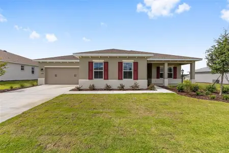 New construction Single-Family house 10618 Sw 101St Lane Rd, Ocala, FL 34481 - image 20
