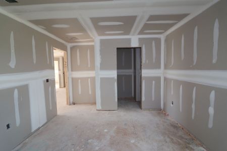 New construction Single-Family house 31205 Denham Ridge Ln, Wesley Chapel, FL 33545 Santa Monica- photo 55 55