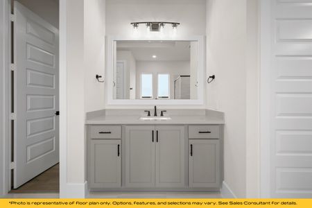 New construction Single-Family house 803 Albatross Ct, Forney, TX 75126 plan Vail - image 12