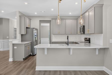 New construction Single-Family house 245 James Dr, Richmond Hill, GA 31324 plan Oscar Mulberry - image 5