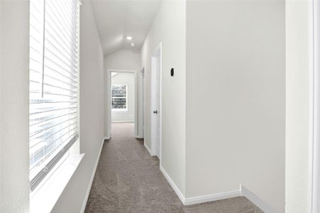 New construction Single-Family house 14167 Mellow Pine Ct, Houston, TX 77032 - image 18